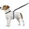 Show in main carousel: ThunderLeash Nylon Dog Leash, Black, Small: 6-ft long, 0.63-in wide slide 2 of 9
