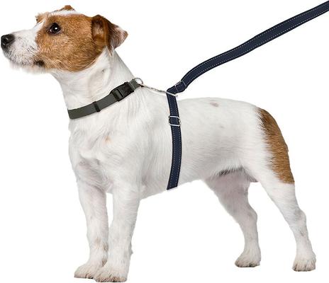 Show full view: ThunderLeash Nylon Dog Leash, Black, Small: 6-ft long, 0.63-in wide slide 5 of 9