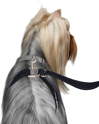 Show full view: ThunderLeash Nylon Dog Leash, Black, Small: 6-ft long, 0.63-in wide slide 6 of 9