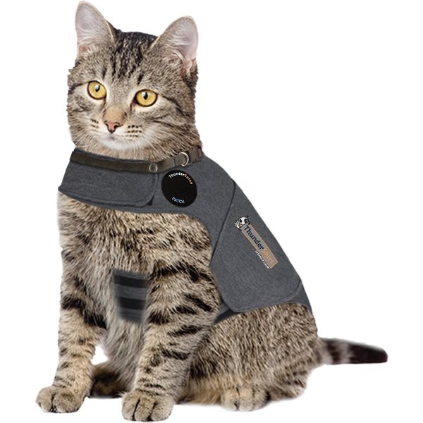 THUNDERSHIRT Anxiety Vest for Cats, Heather Grey, Large - Chewy.com - Cat Anxiety Vest With 5-Hydroxytryptophan
