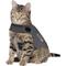 Show in main carousel: ThunderShirt Anxiety Vest for Cats, Heather Grey, Large slide 1 of 8
