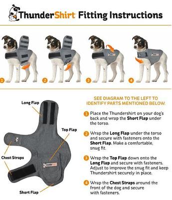 Show full view: ThunderShirt Anxiety Vest for Cats, Heather Grey, Large slide 4 of 8