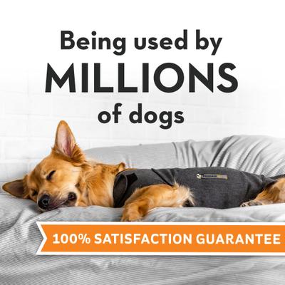 Show full view: ThunderShirt Classic Anxiety & Calming Vest for Dogs, Heather Grey, Large slide 3 of 13