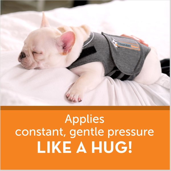 ThunderShirt Classic Anxiety & Calming Vest for Dogs, Heather Grey