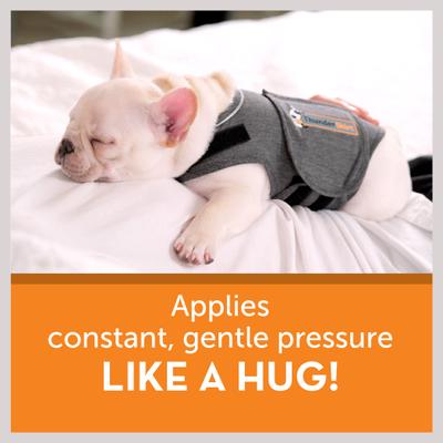 Show full view: ThunderShirt Classic Anxiety & Calming Vest for Dogs, Heather Grey, Large slide 5 of 13