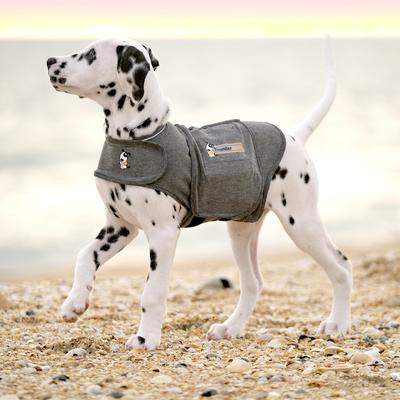 Show full view: ThunderShirt Classic Anxiety & Calming Vest for Dogs, Heather Grey, Medium slide 7 of 13
