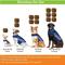 Show in main carousel: ThunderShirt Classic Anxiety & Calming Vest, Heather Grey, Small + ThunderWunders Hemp Dog Chews slide 9 of 10