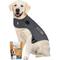 Show in main carousel: ThunderShirt Classic Anxiety & Calming Vest, Heather Grey, X-Large + ThunderWunders Melatonin Dog Chews slide 1 of 10