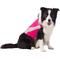 Show in main carousel: ThunderShirt Polo Anxiety Vest for Dogs, Pink, XX-Large slide 1 of 7