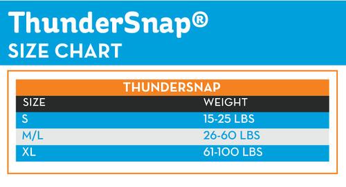 Show full view: ThunderSnap Nylon Dog Leash, Black, X-Small: 6-ft long, 0.63-in wide slide 3 of 5