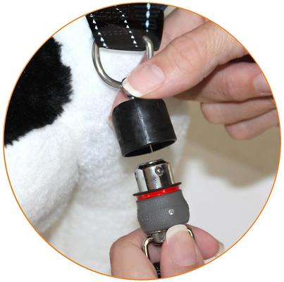 Show full view: ThunderSnap Nylon Dog Leash, Black, X-Small: 6-ft long, 0.63-in wide slide 4 of 5