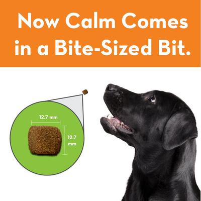 Show full view: ThunderWunders Hemp Calming Dog Chews, 60 Count slide 4 of 12
