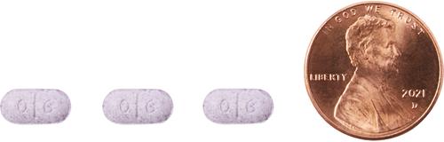 Show full view: Thyro-Tabs (Levothyroxine Sodium) Tablets for Dogs, 0.6-mg, 1 tablet slide 5 of 8