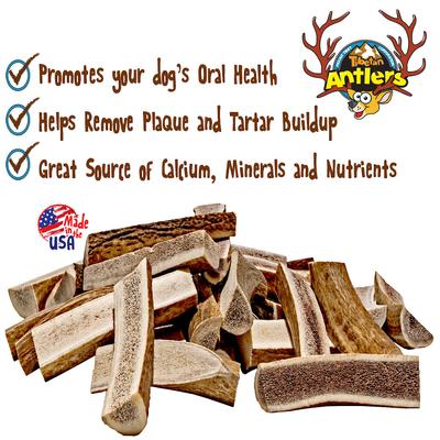 Show full view: Tibetan Dog Chew Split Antler Grain-Free Dog Treat, 1 count, Small slide 5 of 8