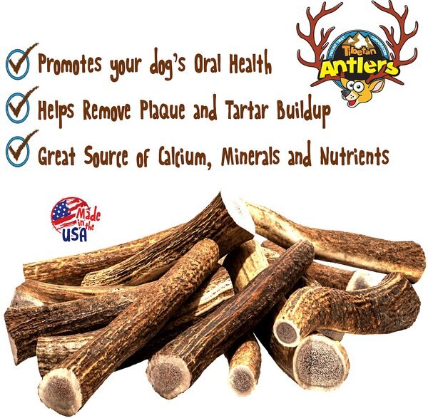 Tibetan Dog Chew Whole Antler Grain-Free Dog Treat, 1 count, Small