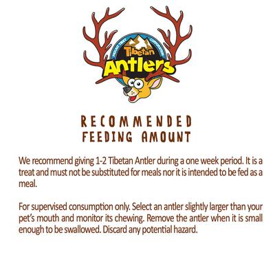 Show full view: Tibetan Dog Chew Whole Antler Grain-Free Dog Treat, 1 count, X-Large slide 7 of 7