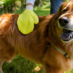 TiCK MiTT Microfiber Tick Remover for Dogs & Cats, Yellow slide 2 of 6