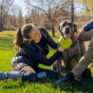 TiCK MiTT Microfiber Tick Remover for Dogs & Cats, Yellow