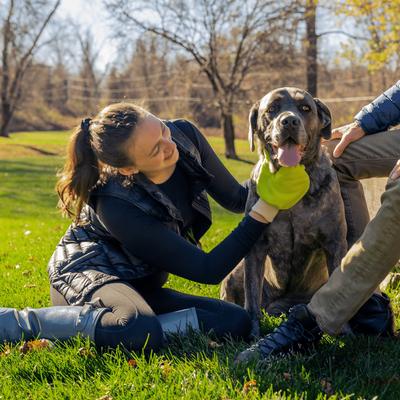 Show full view: TiCK MiTT Microfiber Tick Remover for Dogs & Cats, Yellow slide 2 of 7