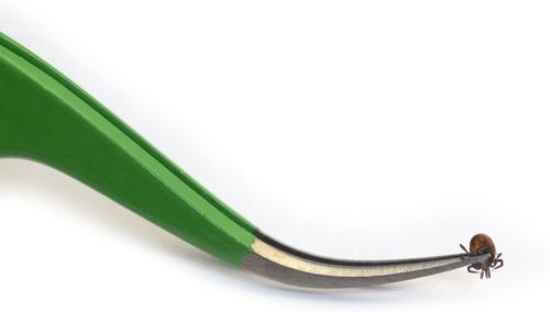 Show full view: TickCheck Premium Dog Tick Removal Kit slide 6 of 8