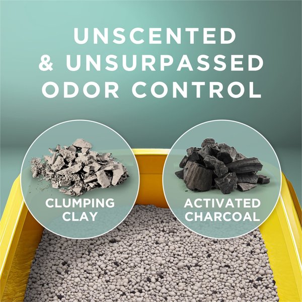 Tidy Cats Free And Clean Unscented Clumping Clay Cat Litter 16 Lb Bag Chewy Com preview