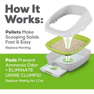 Tidy Cats Hooded Litter Box System, Breeze Hooded System Starter Kit Litter Box, Litter Pellets & Pads