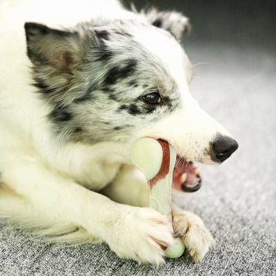 Show full view: Tikaton Bacon Flavored Dog Chew Toy, Medium slide 2 of 7