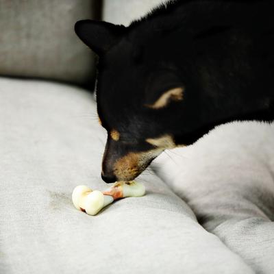 Show full view: Tikaton Bacon Flavored Dog Chew Toy, Small slide 2 of 7