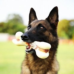 Tikaton Beef Flavored Dog Chew Toy, Large slide 2 of 6