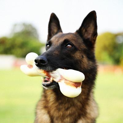 Show full view: Tikaton Beef Flavored Dog Chew Toy, Large slide 2 of 7