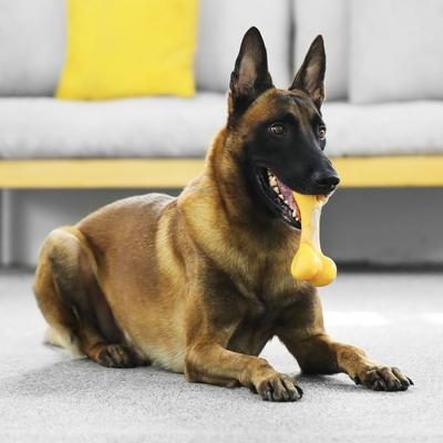 Show full view: Tikaton Chicken Flavored Dog Chew Toy, Large slide 2 of 7