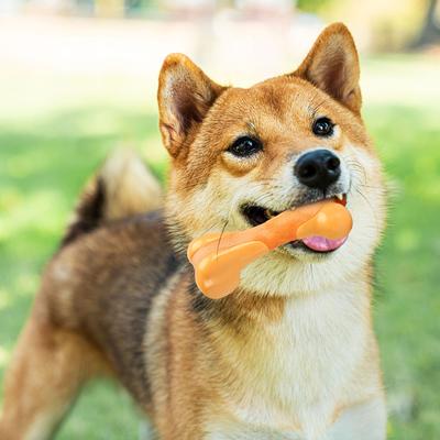 Show full view: Tikaton Chicken Flavored Dog Chew Toy, Small slide 2 of 7
