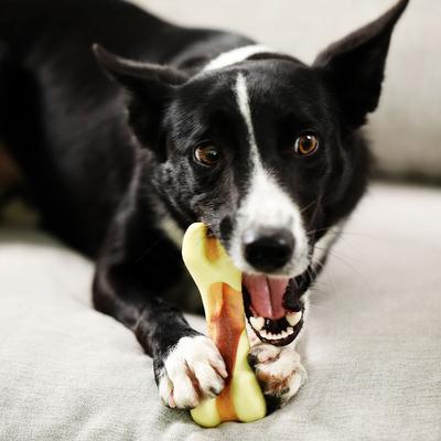 Show full view: Tikaton Peanut Butter Flavored Dog Chew Toy, Medium slide 2 of 7