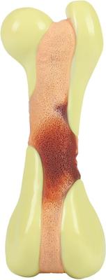 Show full view: Tikaton Peanut Butter Flavored Dog Chew Toy, Medium slide 6 of 7