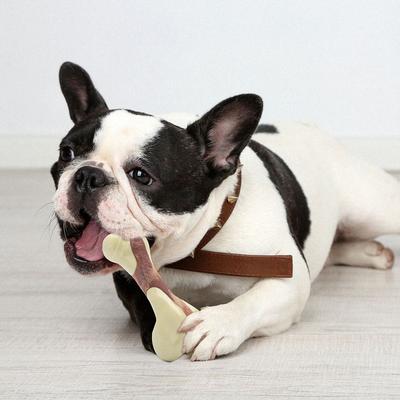 Show full view: Tikaton Peanut Butter Flavored Dog Chew Toy, Small slide 2 of 7