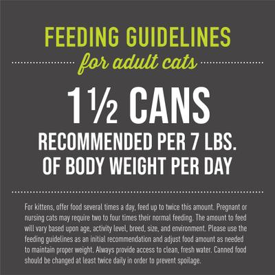 Show full view: Tiki Cat After Dark Chicken & Beef Recipe in Broth Grain-Free Wet Cat Food, 5.5-oz can, case of 8 slide 7 of 13