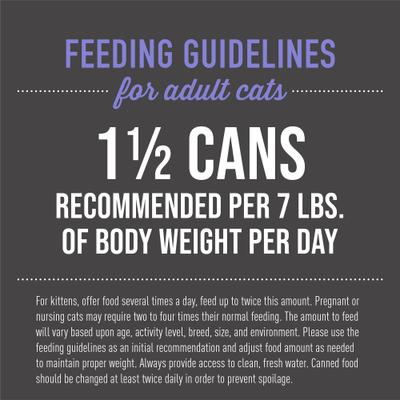 Show full view: Tiki Cat After Dark Chicken & Duck Recipe in Broth Grain-Free Wet Cat Food, 5.5-oz can, case of 8 slide 7 of 13