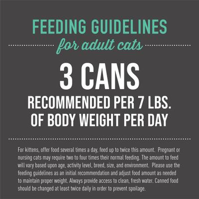 Show full view: Tiki Cat After Dark Chicken & Pork Recipe in Broth Grain-Free Wet Cat Food, 2.8-oz can, case of 12 slide 7 of 13