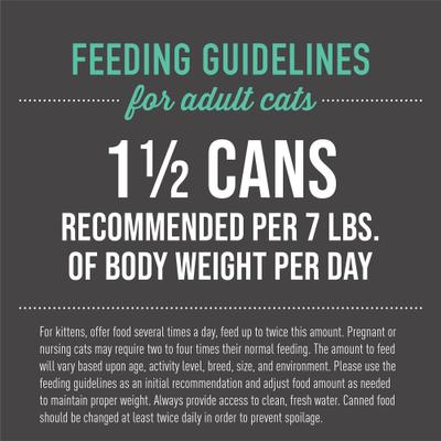 Show full view: Tiki Cat After Dark Chicken & Pork Recipe in Broth Grain-Free Wet Cat Food, 5.5-oz can, case of 8 slide 7 of 13