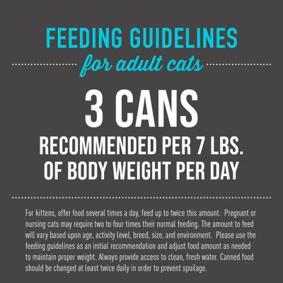 Show full view: Tiki Cat After Dark Chicken & Quail Egg Recipe in Broth Grain-Free Wet Cat Food, 2.8-oz can, case of 6 slide 8 of 13