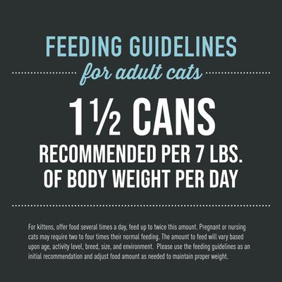 Show full view: Tiki Cat After Dark Chicken & Quail Egg Recipe in Broth Grain-Free Wet Cat Food, 5.5-oz can, case of 12 slide 6 of 12