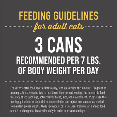 Show full view: Tiki Cat After Dark Chicken Recipe in Broth Grain-Free Wet Cat Food, 2.8-oz can, case of 12 slide 7 of 13