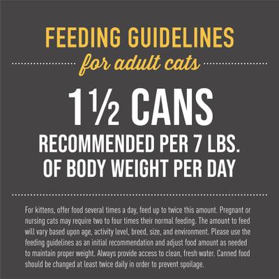 Show full view: Tiki Cat After Dark Chicken Recipe in Broth Grain-Free Wet Cat Food, 5.5-oz can, case of 8 slide 7 of 13