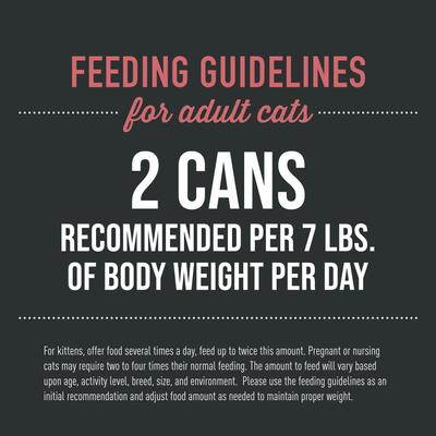 Show full view: Tiki Cat After Dark Pate+ Chicken & Beef Grain-Free Wet Cat Food, 2.8-oz can, case of 12 slide 7 of 12