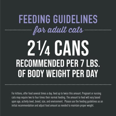 Show full view: Tiki Cat After Dark Pate+ Chicken & Duck Grain-Free Wet Cat Food, 2.8-oz can, case of 12 slide 7 of 11