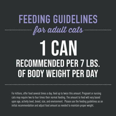 Show full view: Tiki Cat After Dark Pate+ Chicken & Duck Grain-Free Wet Cat Food, 5.5-oz can, case of 8 slide 7 of 11