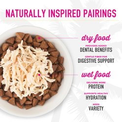 Tiki Cat After Dark Pate+ Chicken Grain-Free Wet Cat Food 2.8-oz can, case of 6 slide 2 of 9