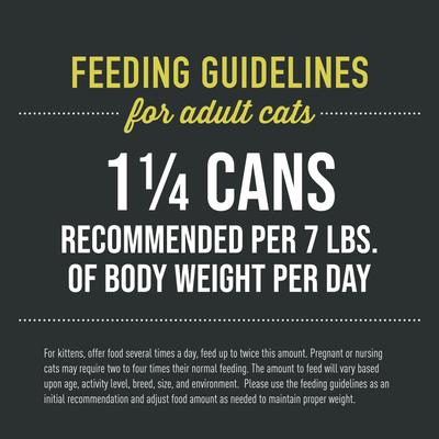 Show full view: Tiki Cat After Dark Pate+ Chicken Grain-Free Wet Cat Food, 5.5-oz can, case of 8 slide 7 of 12