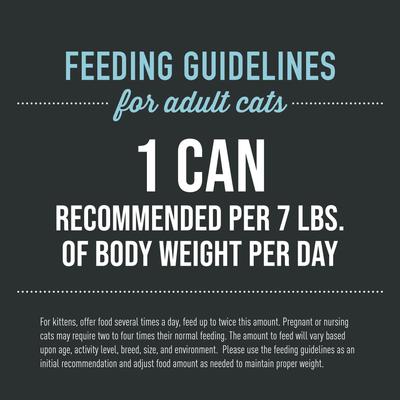 Show full view: Tiki Cat After Dark Pate+ Chicken & Quail Egg Grain-Free Wet Cat Food, 5.5-oz can, case of 8 slide 7 of 11