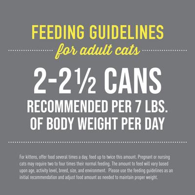 Show full view: Tiki Cat After Dark Pate+ Variety Pack Grain-Free Wet Cat Food, 2.8-oz can, case of 12 slide 6 of 11